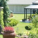 backyard_2015-169