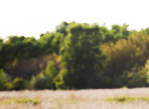 Laura Nielson: The Real Farm Girl.