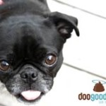 DooGooders