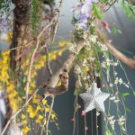 amavo_0028