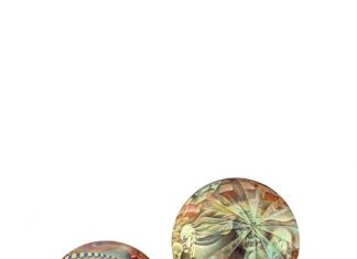 Inside the Termesphere