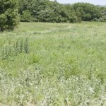 1IMG_1626 copy