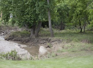 No Excuses – There’s a Trail for Everyone