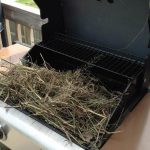 nest1
