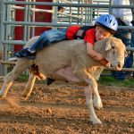 Rodeo 4