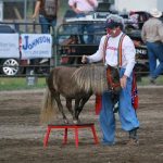 Rodeo Clown 2014