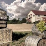 valiant vinyards