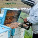 I4EmOQotbssbvBW2ED6x2FXC9TVR84WTuawlXZgrjbg