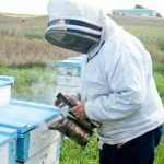 Jr8GZ8T5SCwSQFgeSKU5Q72TQWibHHR9t8N6_ndh0G4