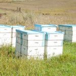 SImF-Ji3gFk8yXcr6NmlaCTGCyCzrxJBEHVcby1MKaA