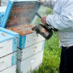 YhG4s-oF20EqB9_V-osjPcn6B0nvmNHF6hlOM6_rgKM