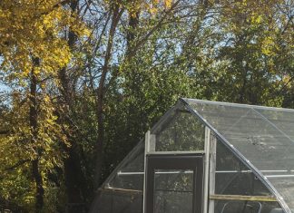 Celebrating 125 Years of Keeping it Rural