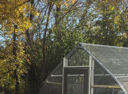 Celebrating 125 Years of Keeping it Rural