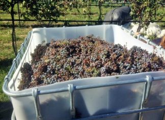 Serious Side of South Dakota Wine