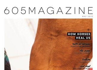 How Horses Heal Us