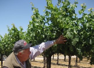 Jerry Lohr Brings South Dakota Value to California Wine Making