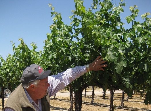 Jerry Lohr Brings South Dakota Value to California Wine Making