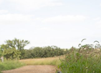 The Spirits Of The Forest Are Calling This FallÂ