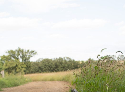 The Spirits Of The Forest Are Calling This FallĀ