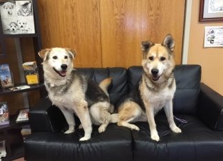 Pet(s) of the Month: Charlie and Macy