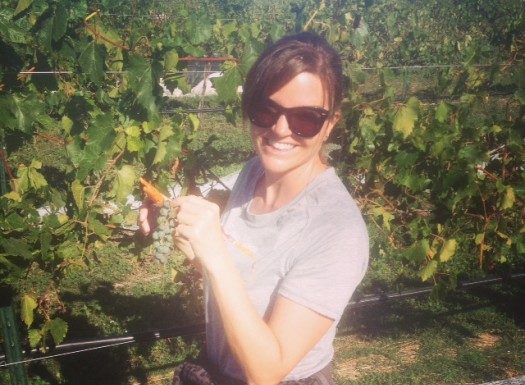 Legends of the Fall: Grape Harvest in the Black Hills