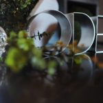 635634219368022585-1-0331-Ode-0006-copy