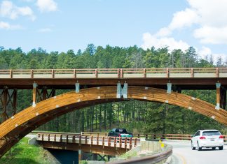 Immersed In the Hills