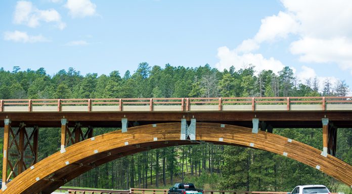 Immersed In the Hills