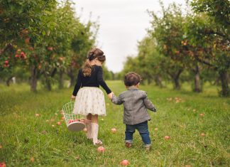 To Be a Fly on Our Wall