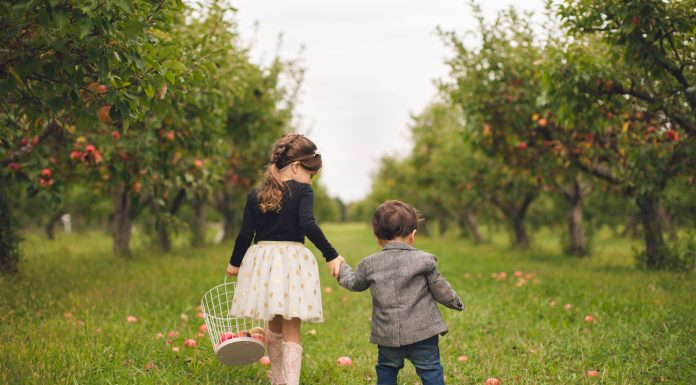 To Be a Fly on Our Wall