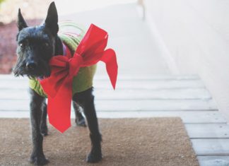 A Home for the Holidays