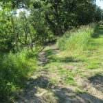 img_0915