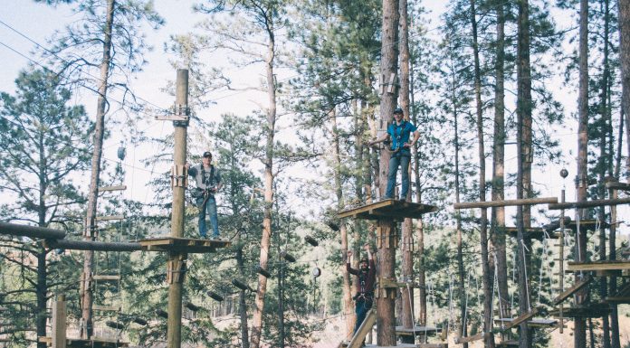 South Dakota in the Trees