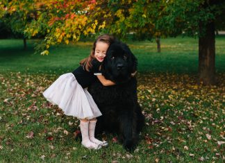 An Admirable Question