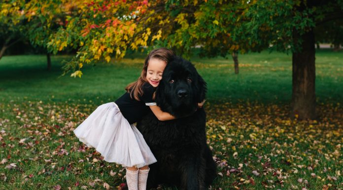 An Admirable Question