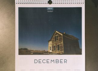 Meet the Artist: Abby Bischoff