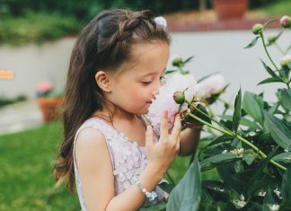 Stopping for 24 Hours to Smell the Flowers