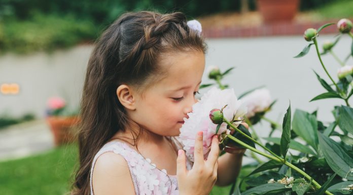 Stopping for 24 Hours to Smell the Flowers