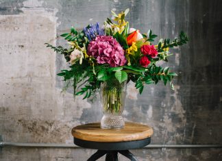 A Fresh Beginning: Bella Rosa