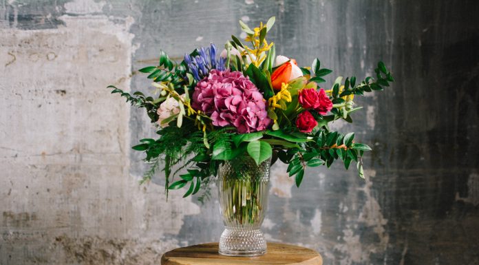 A Fresh Beginning: Bella Rosa