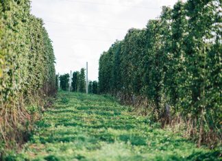 Growing in South Dakota