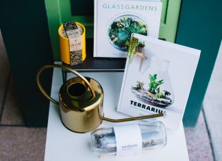 Seasonal Trends: Spring