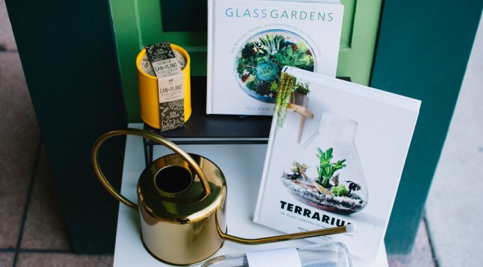 Seasonal Trends: Spring