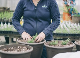 Growing into the Business