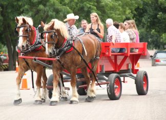 Summer Checklist | June