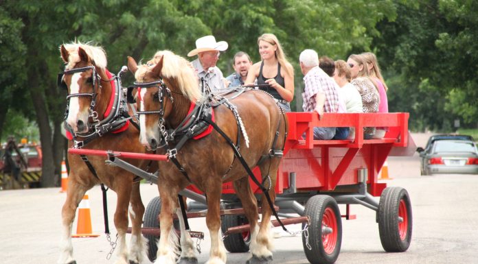 Summer Checklist | June