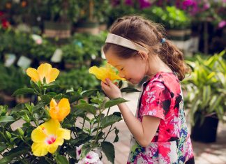 Learning to Garden (Life)