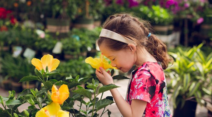 Learning to Garden (Life)