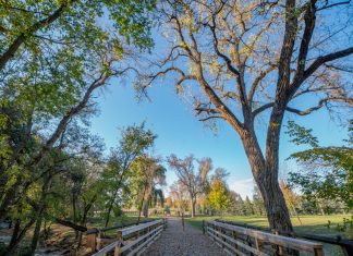 Great Plains Paradise: The Mary Jo Wegner Arboretum