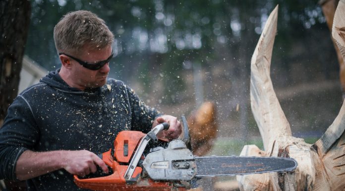 Meet the Artist: Jarrett Dahl